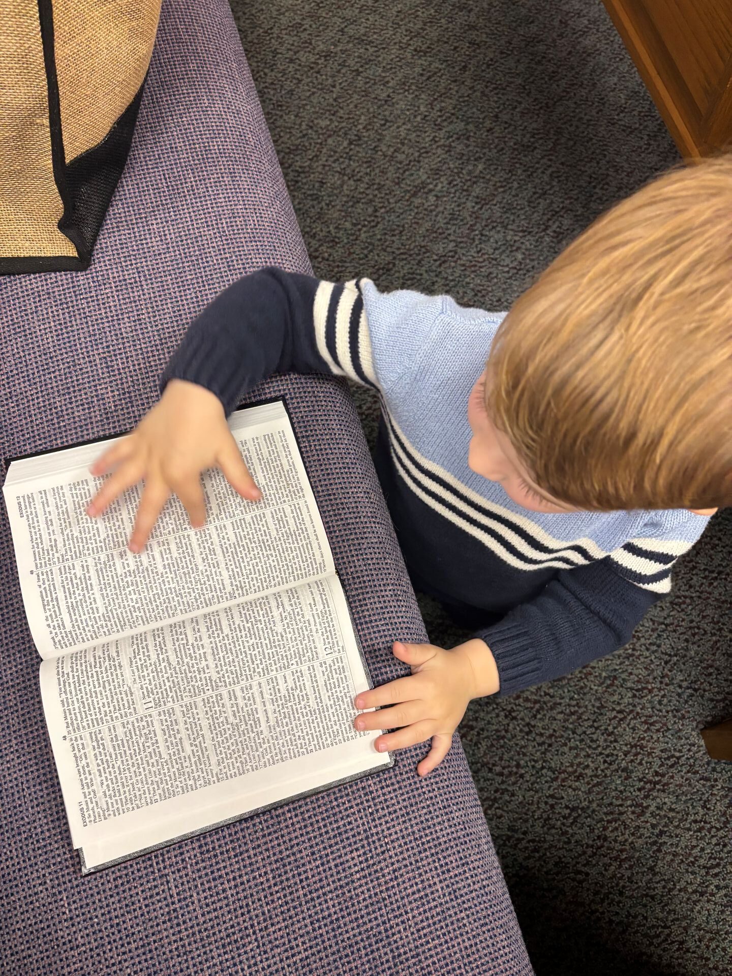 Child Reading Bible