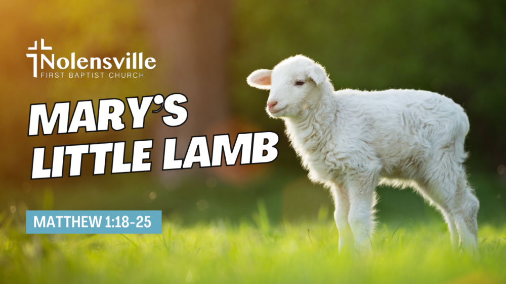 Mary's Little Lamb Image