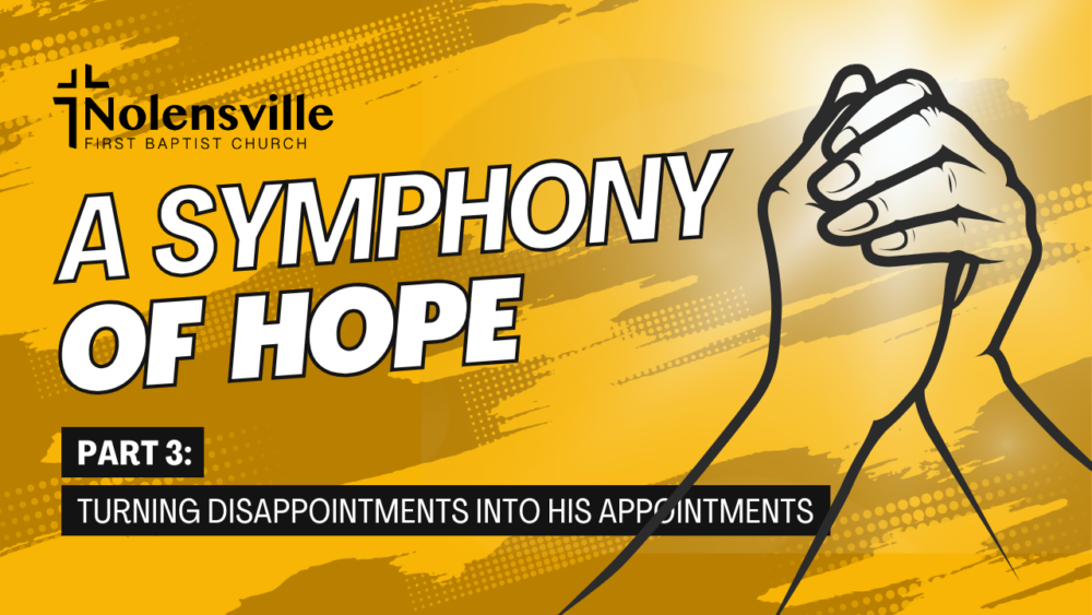 Turning Disappointments into His Appointments Image