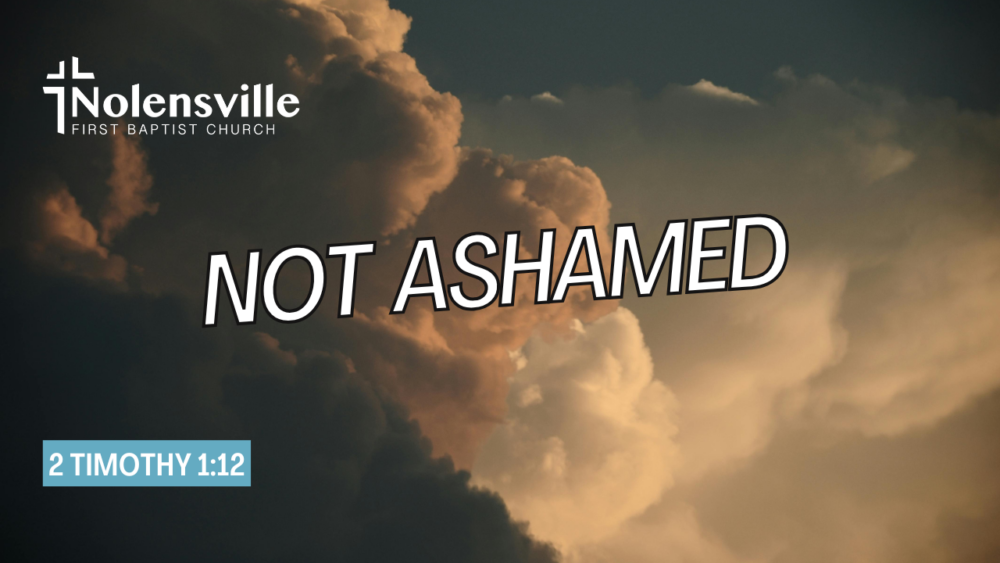 Not Ashamed Image