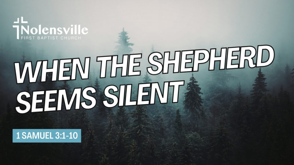 When the Shepherd Seems Silent Image
